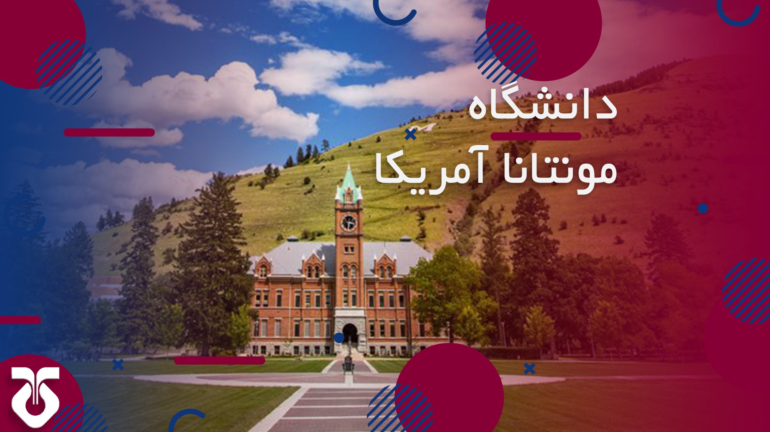 دانشگاه مونتانا