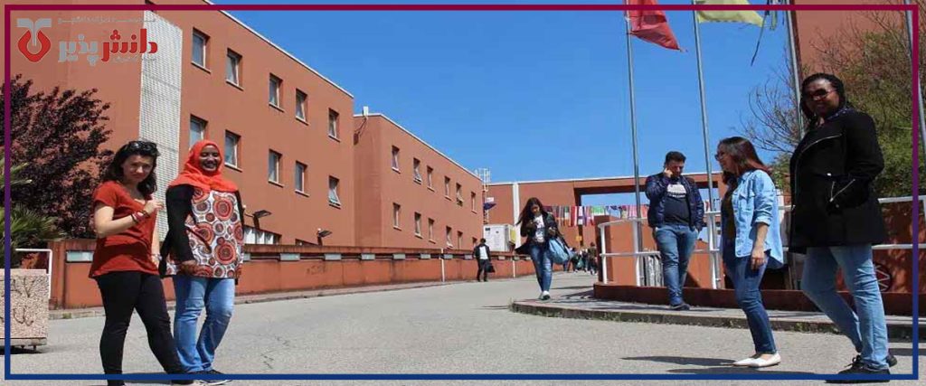 دانشگاه کالابریا